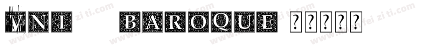 VNI 09 Baroque字体转换